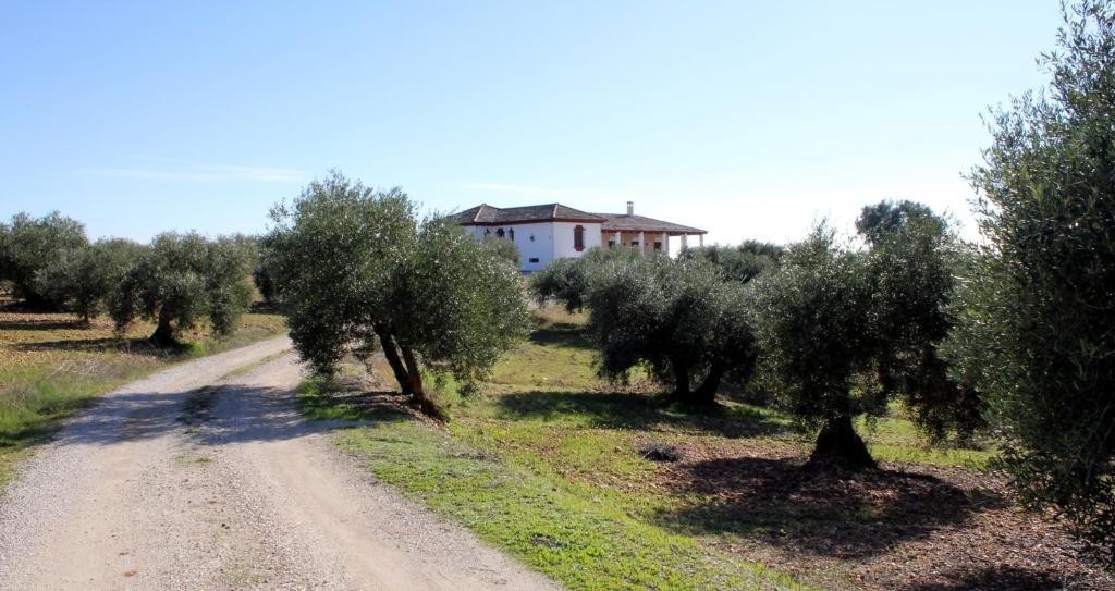 Casa Rural La Serrana ลาการ์โลตา ภายนอก รูปภาพ